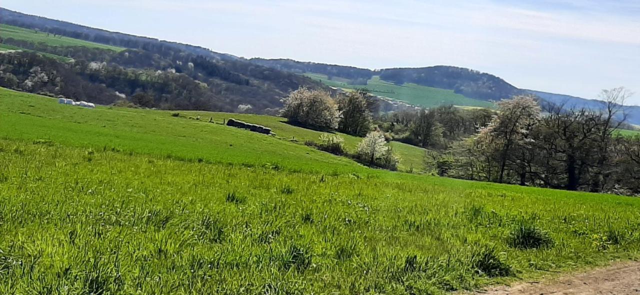 Ferienwohnung Gutowski Andernach Exteriör bild